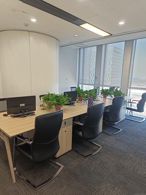 破解融資困局，助力企業騰飛——鄭州專業信息咨詢服務機構深度解析